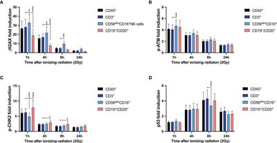 Differential DNA Damage Response of Peripheral Blood Lymphocyte Populations